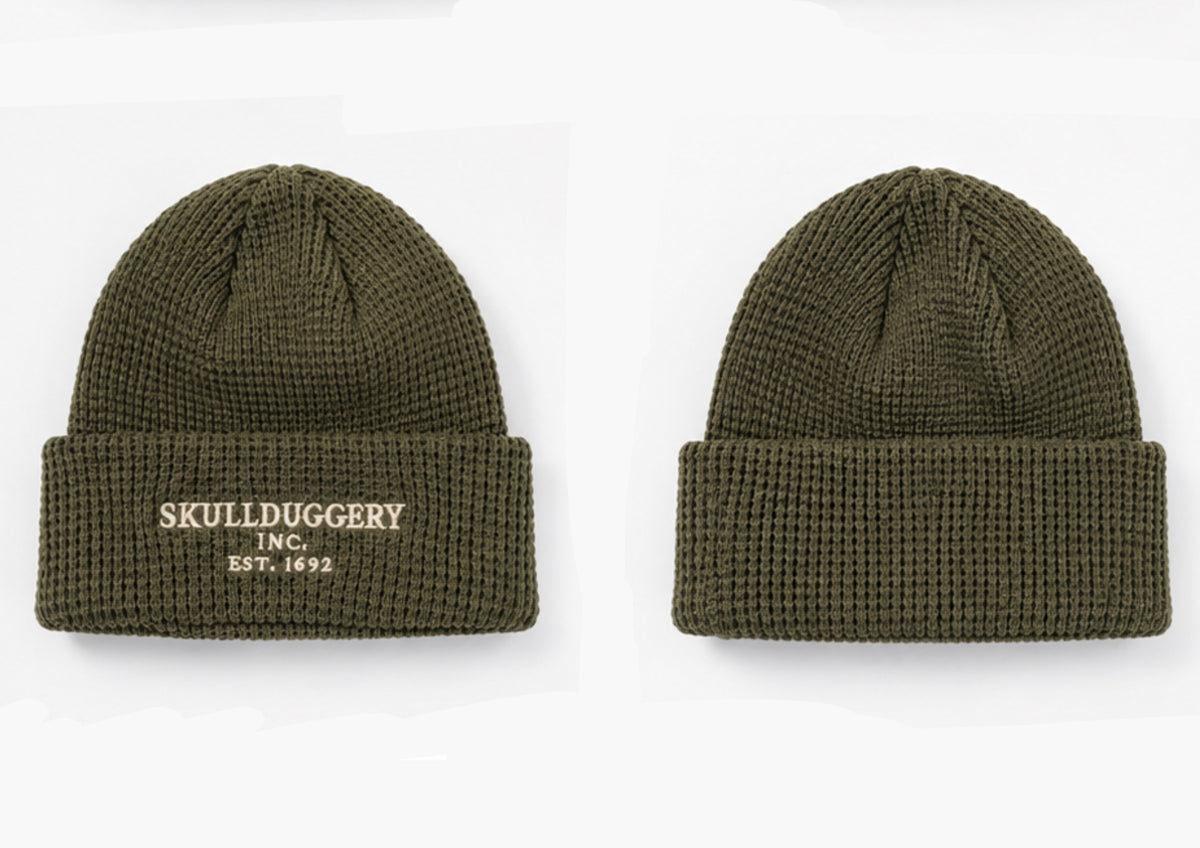 Skullduggery Incorporated Beanie