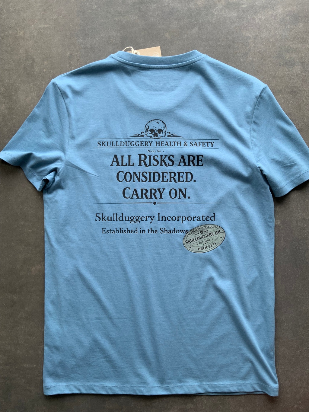 Skullduggery Health & Safety t-shirt in blue